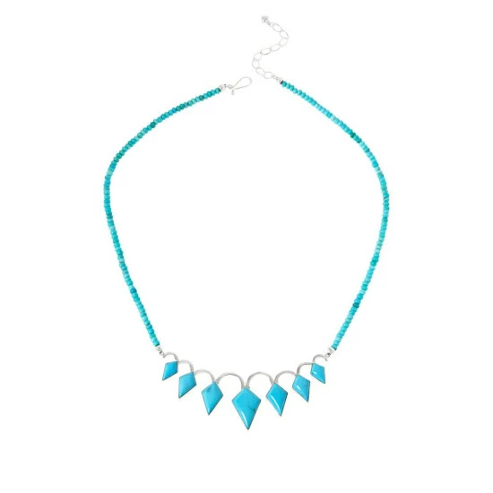 Wholesale ๐ Mine Finds By Jay King Jay King Gallery Collection Campitos Turquoise Necklace ๐ 1 Wholesale ๐ Mine Finds By Jay King Jay King Gallery Collection Campitos Turquoise Necklace ๐