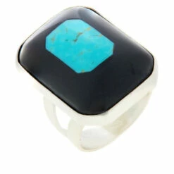 Best deal 🎉 Mine Finds By Jay King Jay King Sterling Silver Black Nephrite Jade & Turquoise Ring 😍