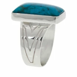 Deals 💯 Mine Finds By Jay King Jay King Sterling Silver Spider Mountain Turquoise Ring 👏 -Deals Mine Store unnamed file 1286