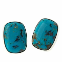 Cheap 🎁 Mine Finds By Jay King Jay King Sterling Silver Iron Mine Turquoise Earrings 💯
