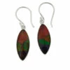 Deals 👍 Mine Finds By Jay King Jay King Sterling Silver Ammolite Petal Drop Earrings 👍