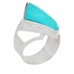 Brand new 🛒 Mine Finds By Jay King Jay King Sterling Silver Turquoise Freeform Ring ❤️