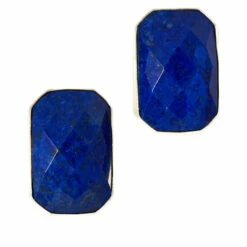 Top 10 ⌛ Mine Finds By Jay King Jay King Sterling Silver Checkerboard-Cut Lapis Earrings ✨