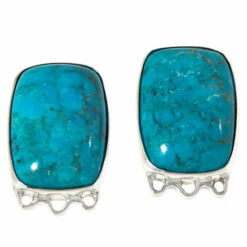 Outlet 🌟 Mine Finds By Jay King Jay King Sterling Silver Angel Peak Turquoise Cushion-Cut Earrings 🛒